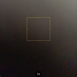 Meet your Posher, Tabitha